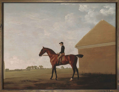 The Jockey