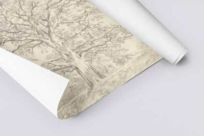 The Oak Tree