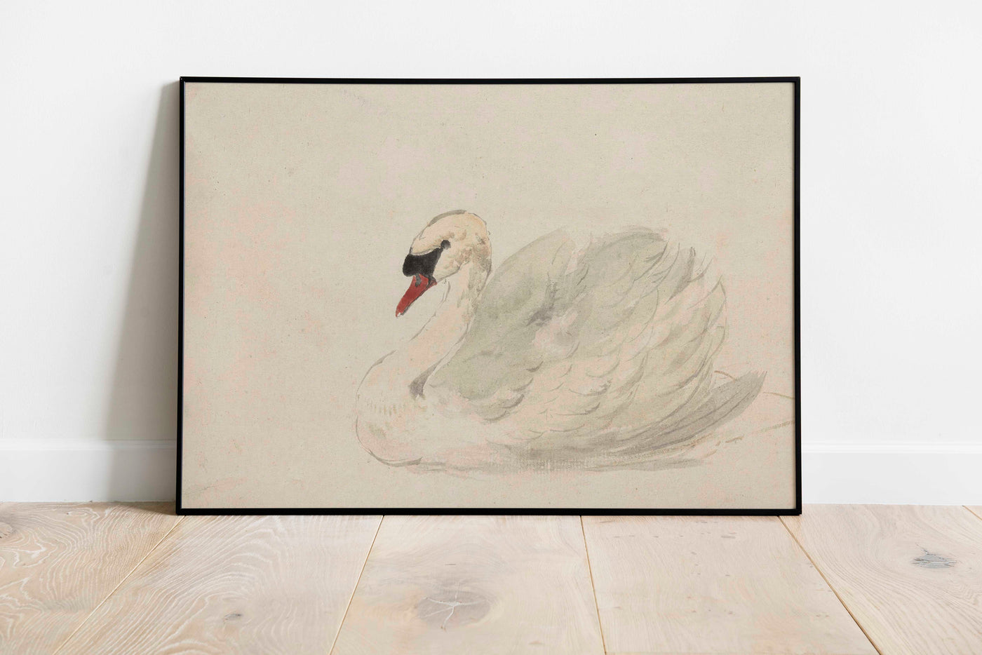 The Swan Print