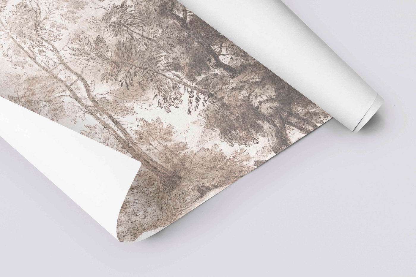 Tree Sketch 2
