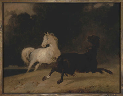 Two Stallions