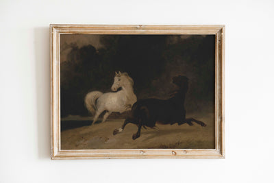 Two Stallions Print