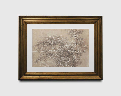 Vintage Foliage Print