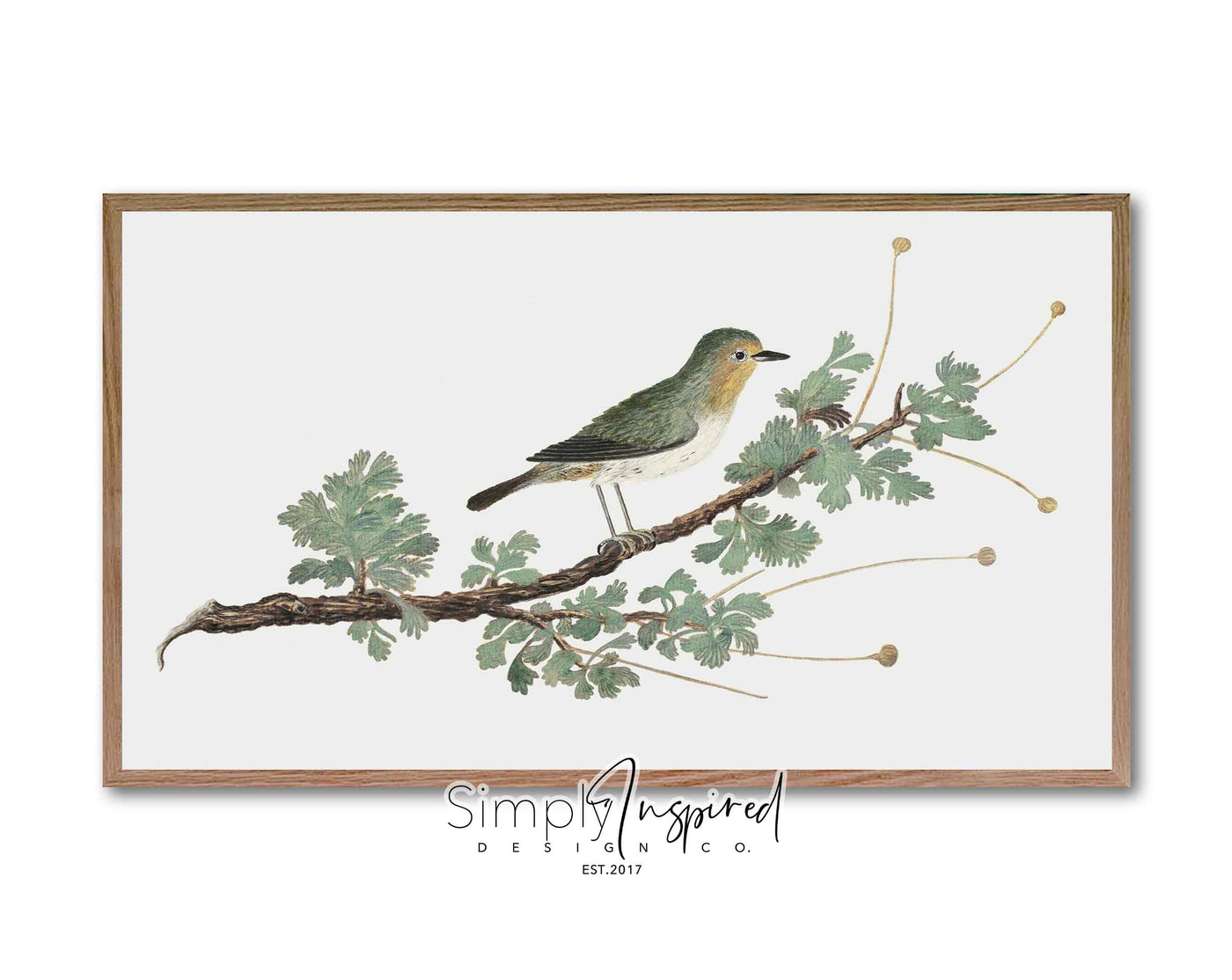 FRAME TV ART |  Vintage Watercolor Bird