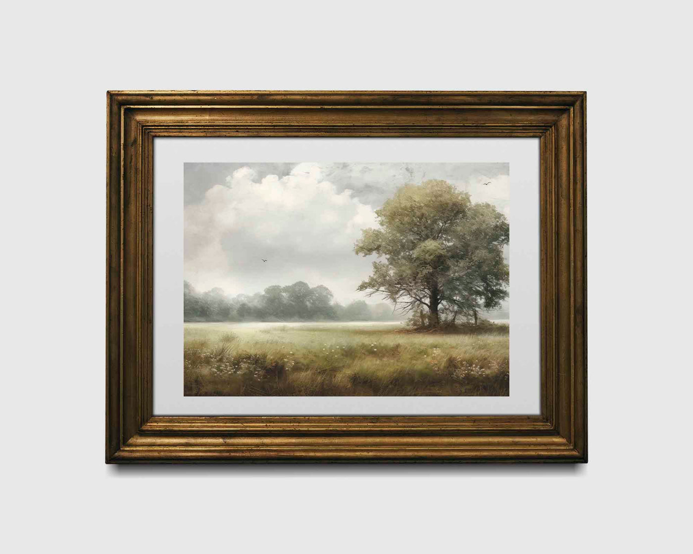 Warm Meadow