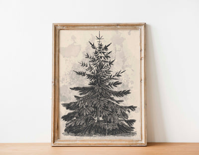 Winter Evergreen Print