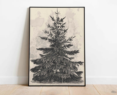 Winter Evergreen Print