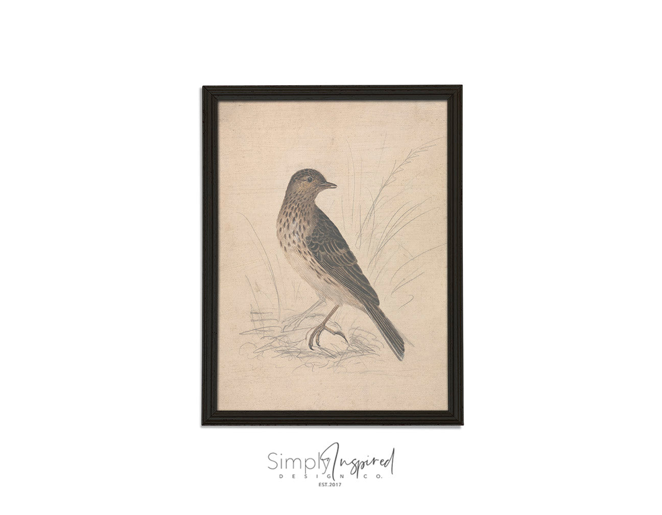 Bird Drawing Print