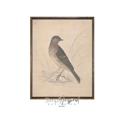 Bird Drawing