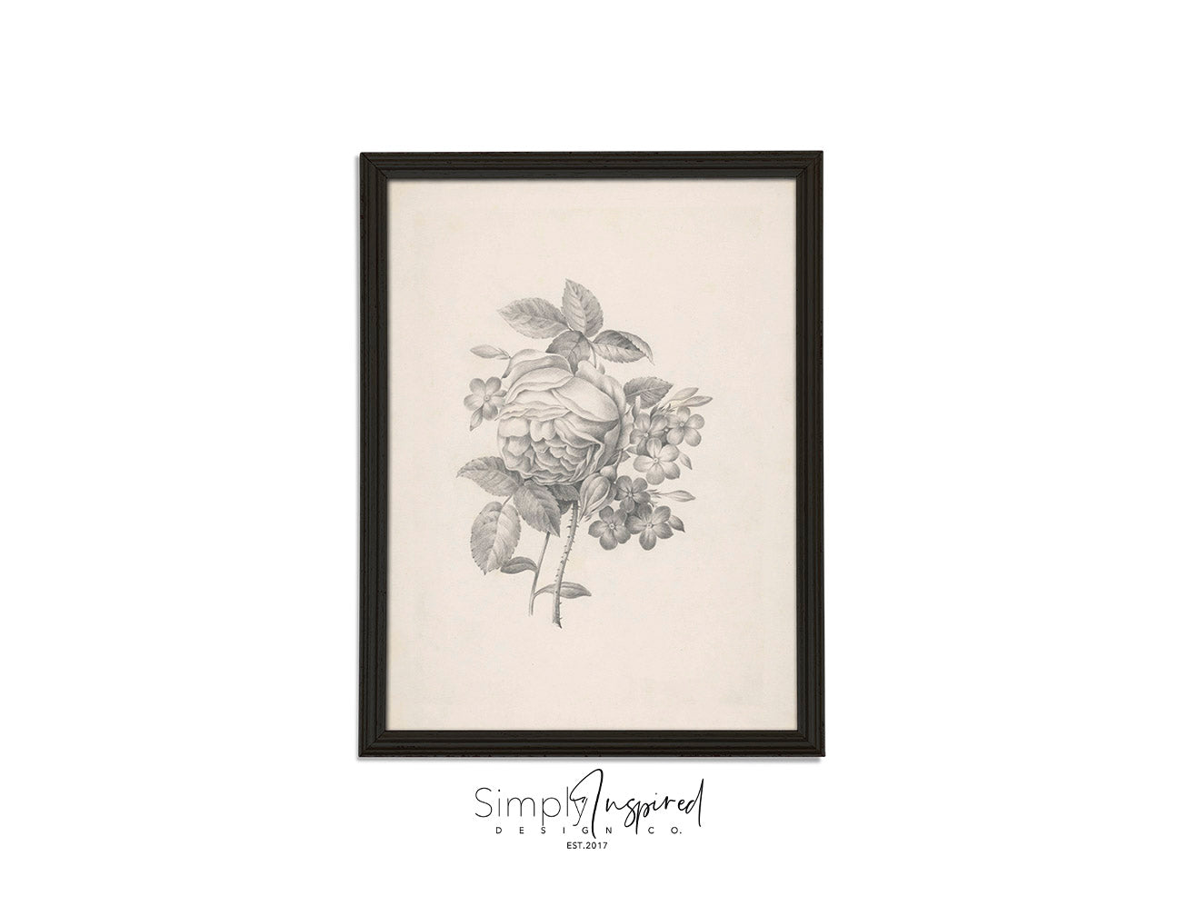 Botanicals Print