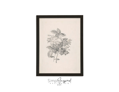 Botanicals Print