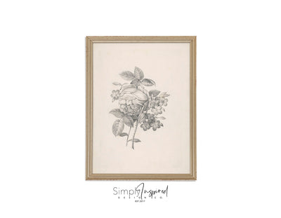 Botanicals Print
