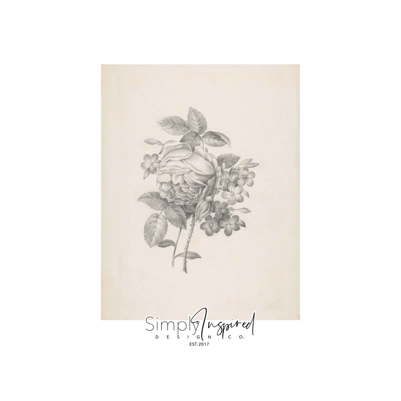 Botanicals Print
