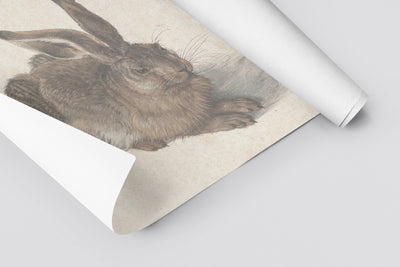 Bunny Love