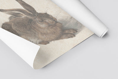 Bunny Love Print