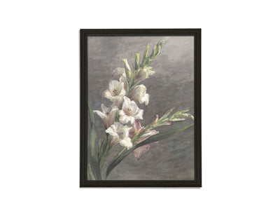 Gladiolen Print