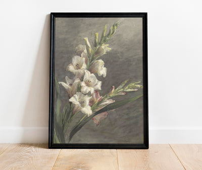 Gladiolen Print