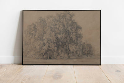 Grove of trees Print