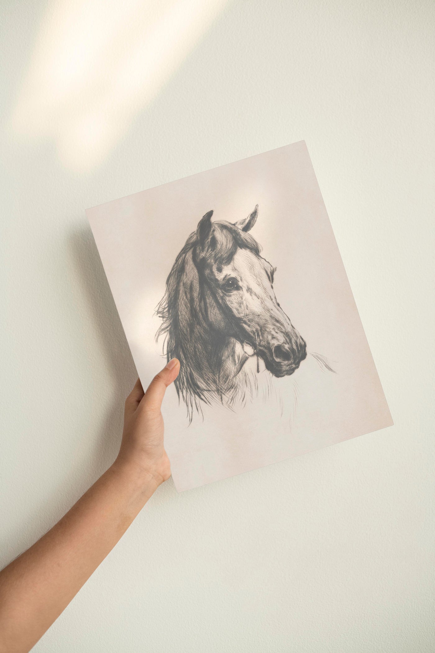 Horse Drawing Print