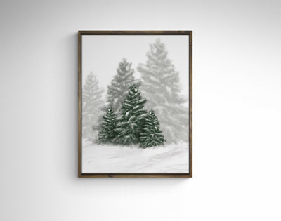 Snowy Evergreens