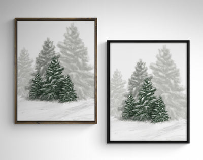 Snowy Evergreens