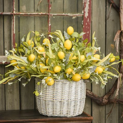 Lemon & Flower Stem