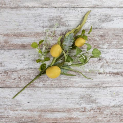 Lemon & Flower Stem