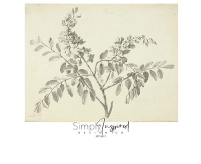 Neutral Branch