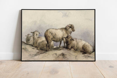 Resting Sheep Print