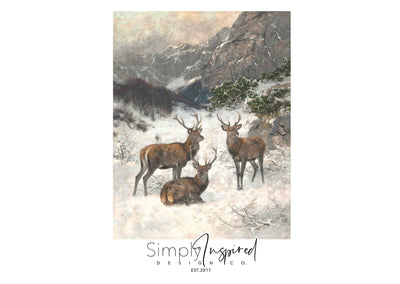 Snow Deer Print