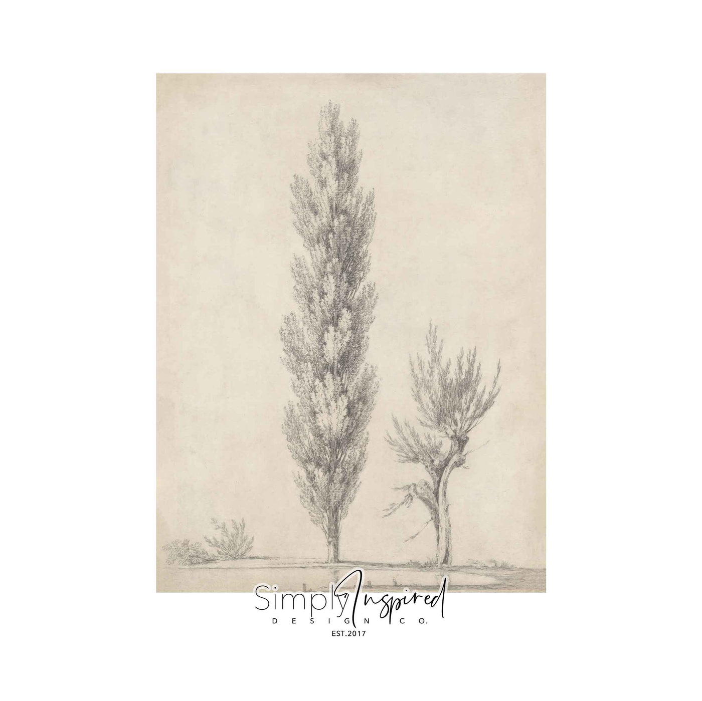 Study of a tree Print