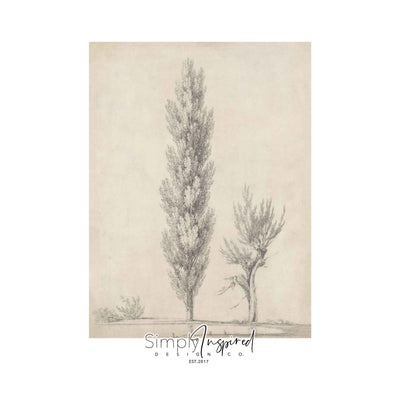 Study of a tree Print