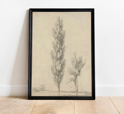 Study of a tree Print