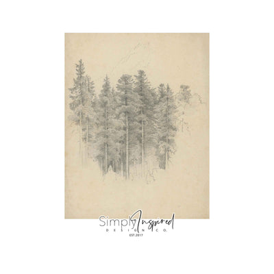 Tall Trees Print