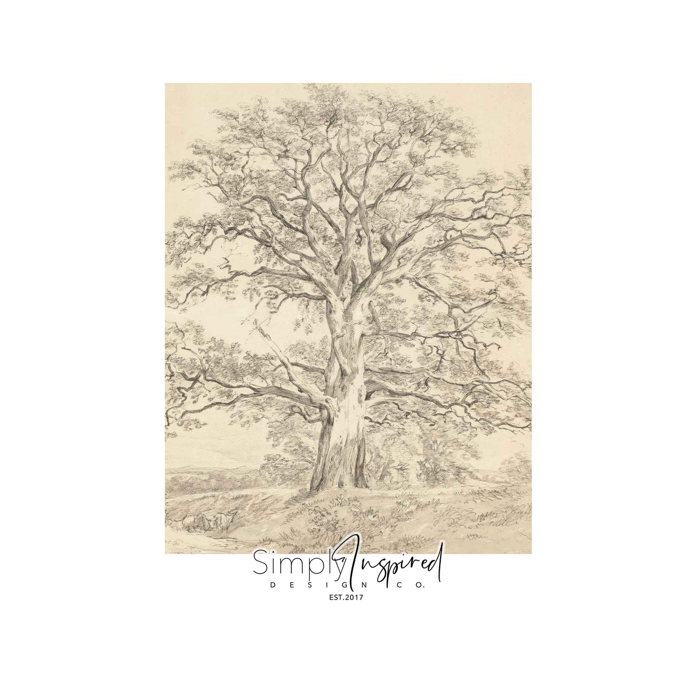 The Oak Tree Print