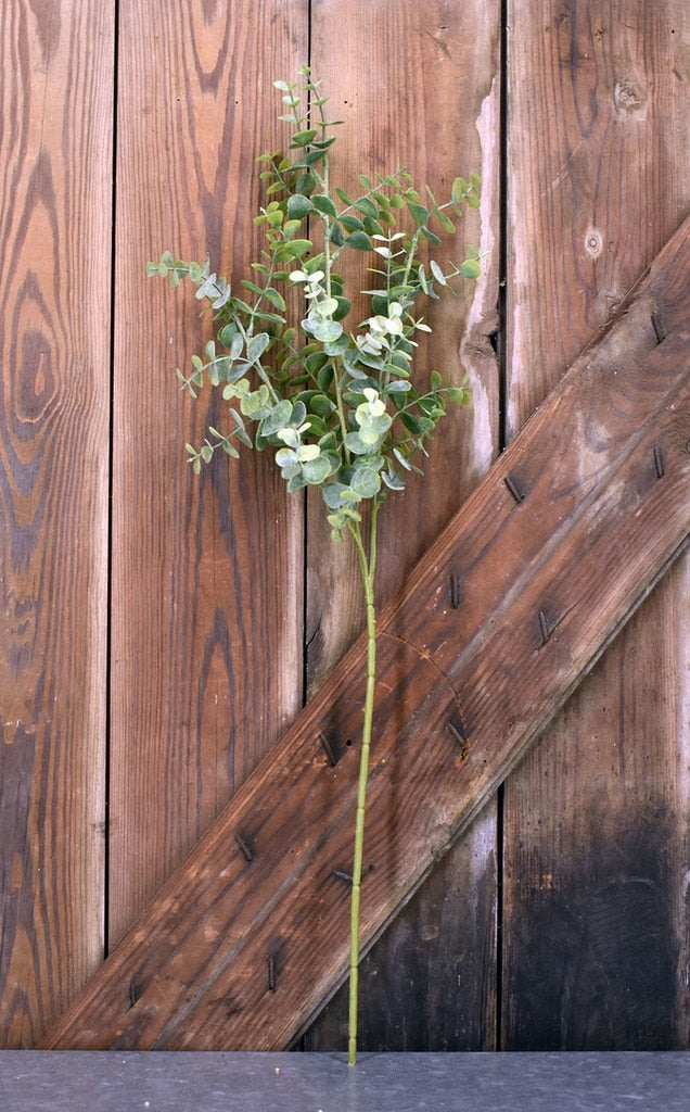 Baby Euculyptus Spray