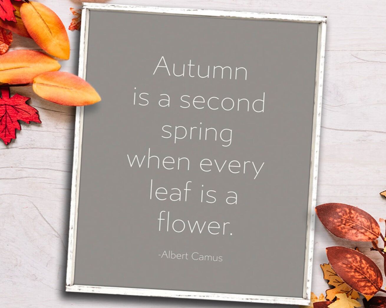Autumn is Second Spring - 2021 Fall