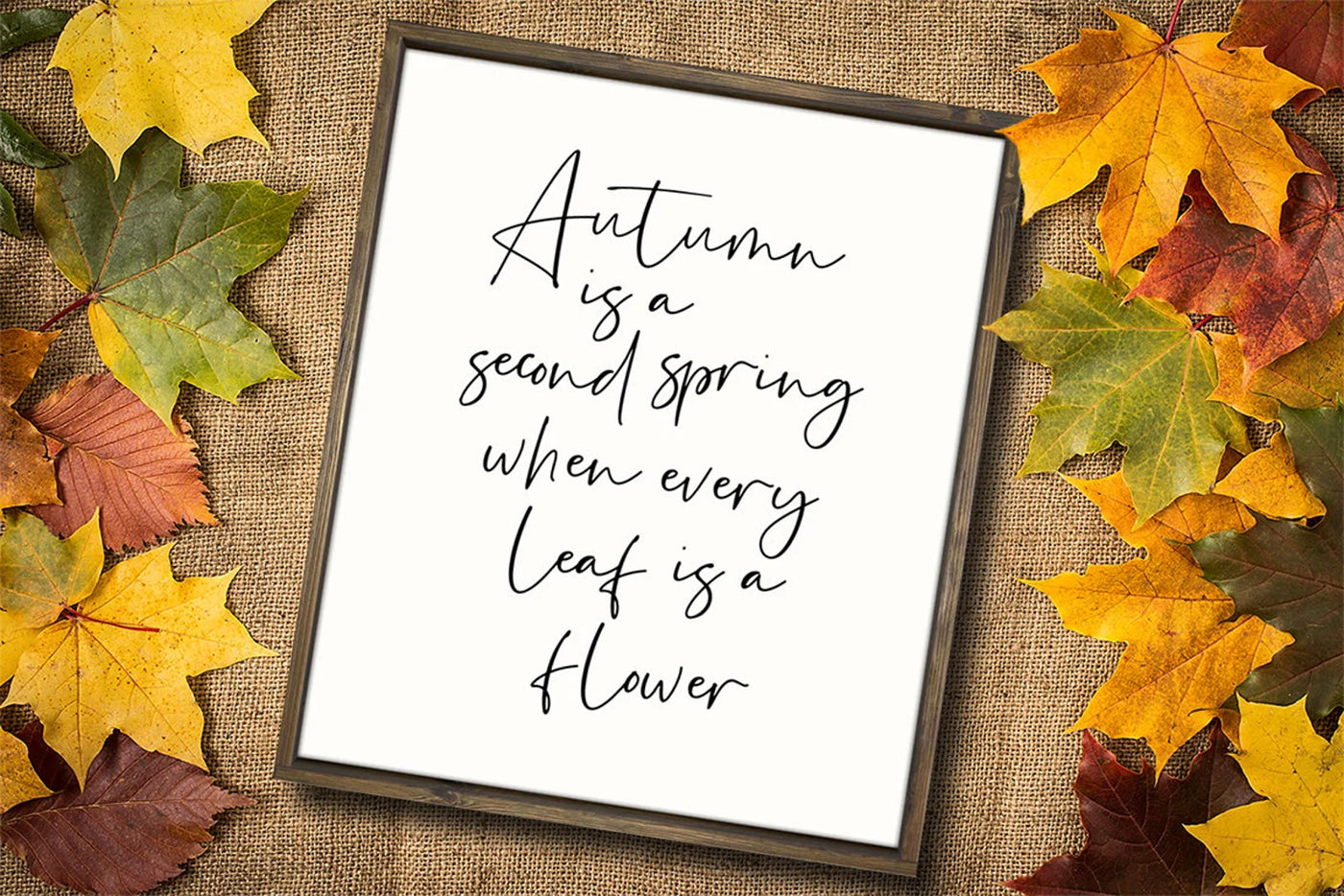 Autumn is Second Spring