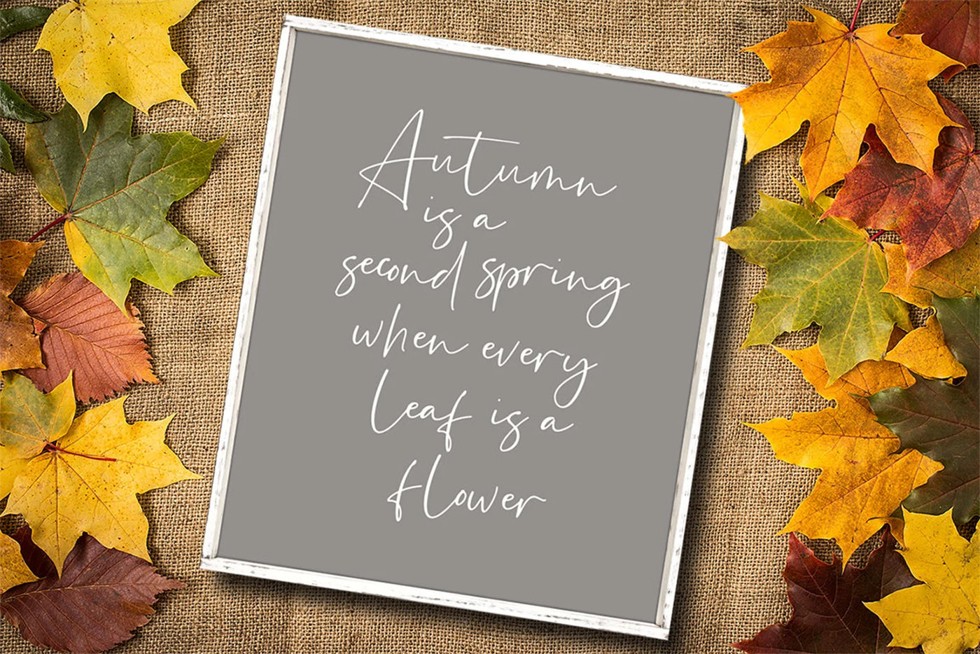 Autumn is Second Spring