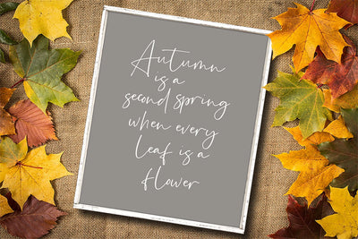 Autumn is Second Spring