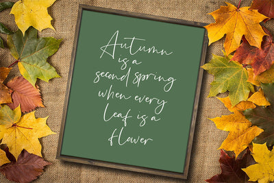 Autumn is Second Spring