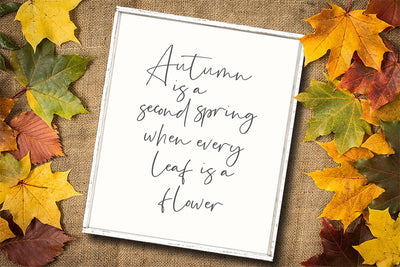 Autumn is Second Spring