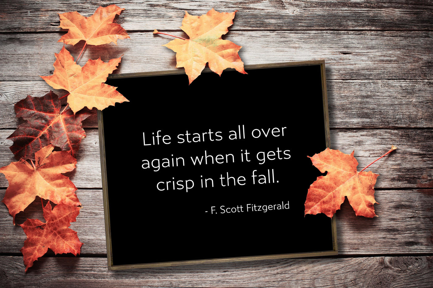 Life starts all over again Crisp in Fall