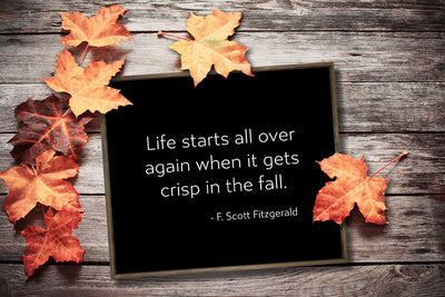 Life starts all over again Crisp in Fall