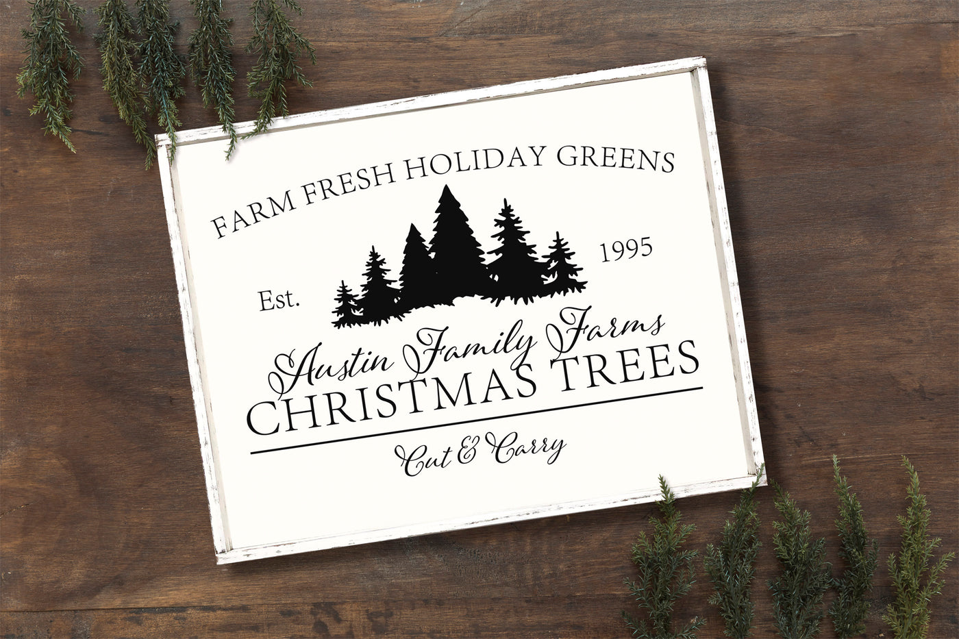 Family Farm Christmas Trees